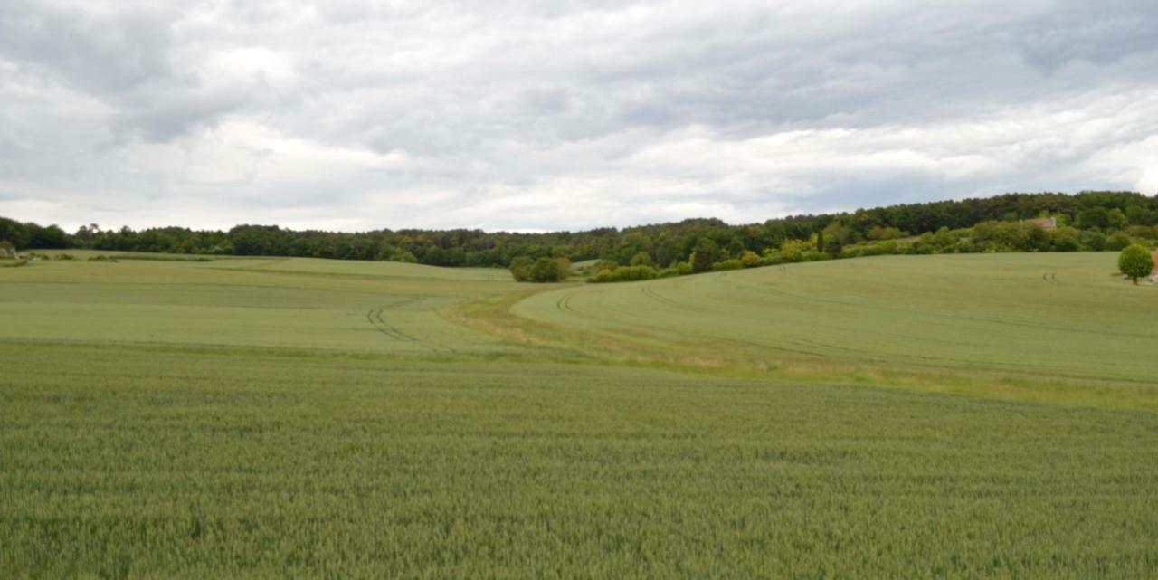 L'Abbesse Villa Scorbé-Clairvaux Exteriör bild